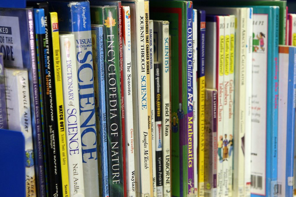 books, shelf, organized